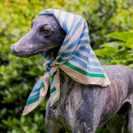 Load image into Gallery viewer, Statue of a dog wearing a striped scarf with a green background
