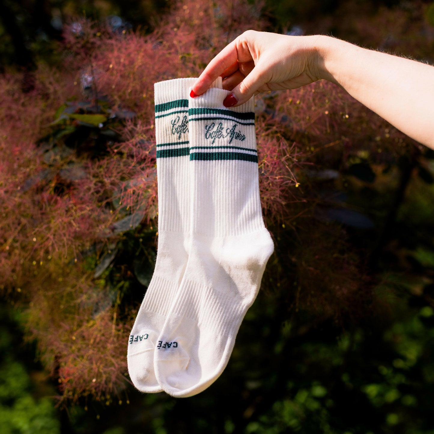White socks with green and tan stripes held by a hand against a natural background